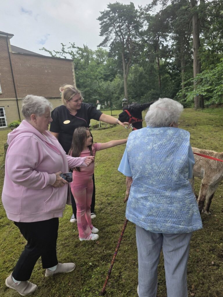 resident-meeting-a-llama