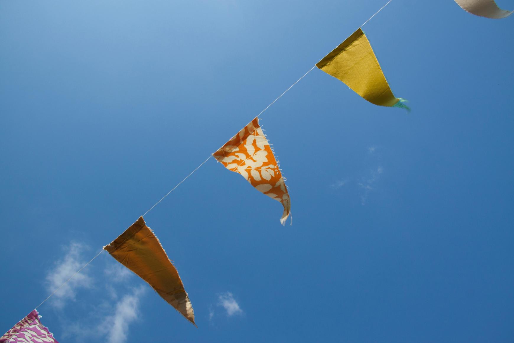 bunting-on-a-summers-day