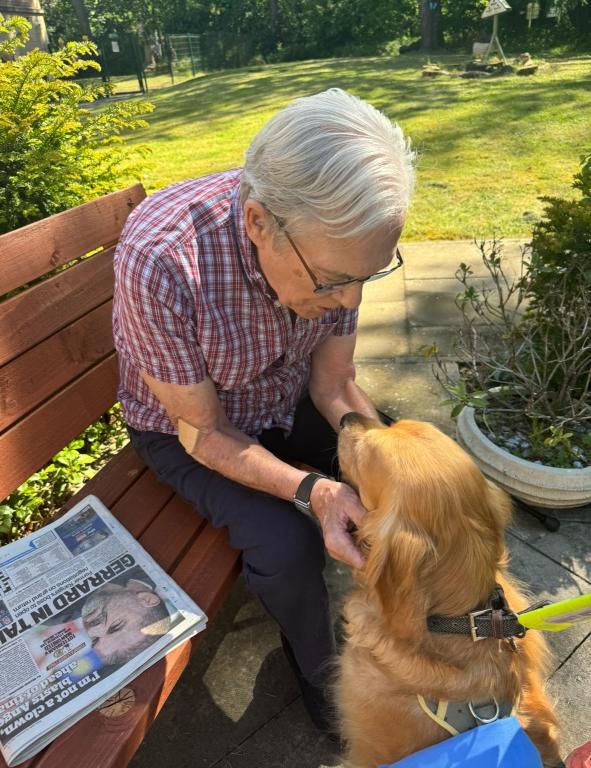 older man sat on a bench stroking a brown dog