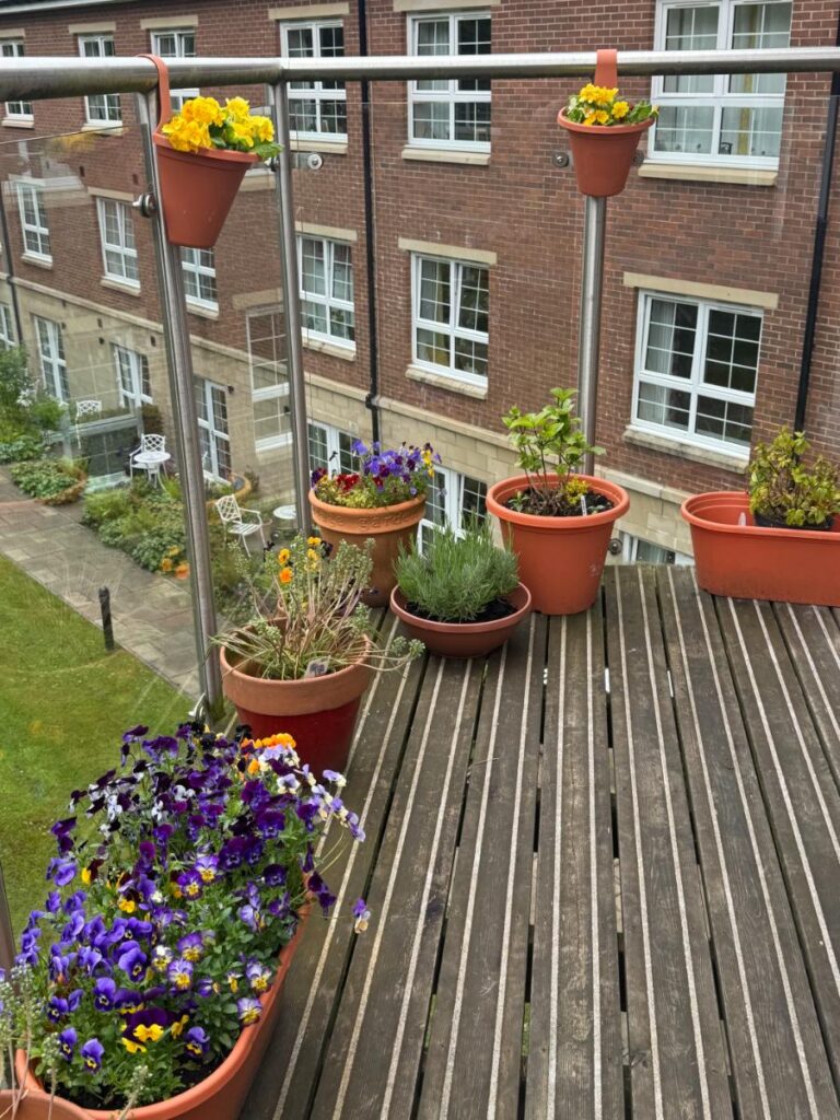pots of colourful flowers on a glass-walled balcony