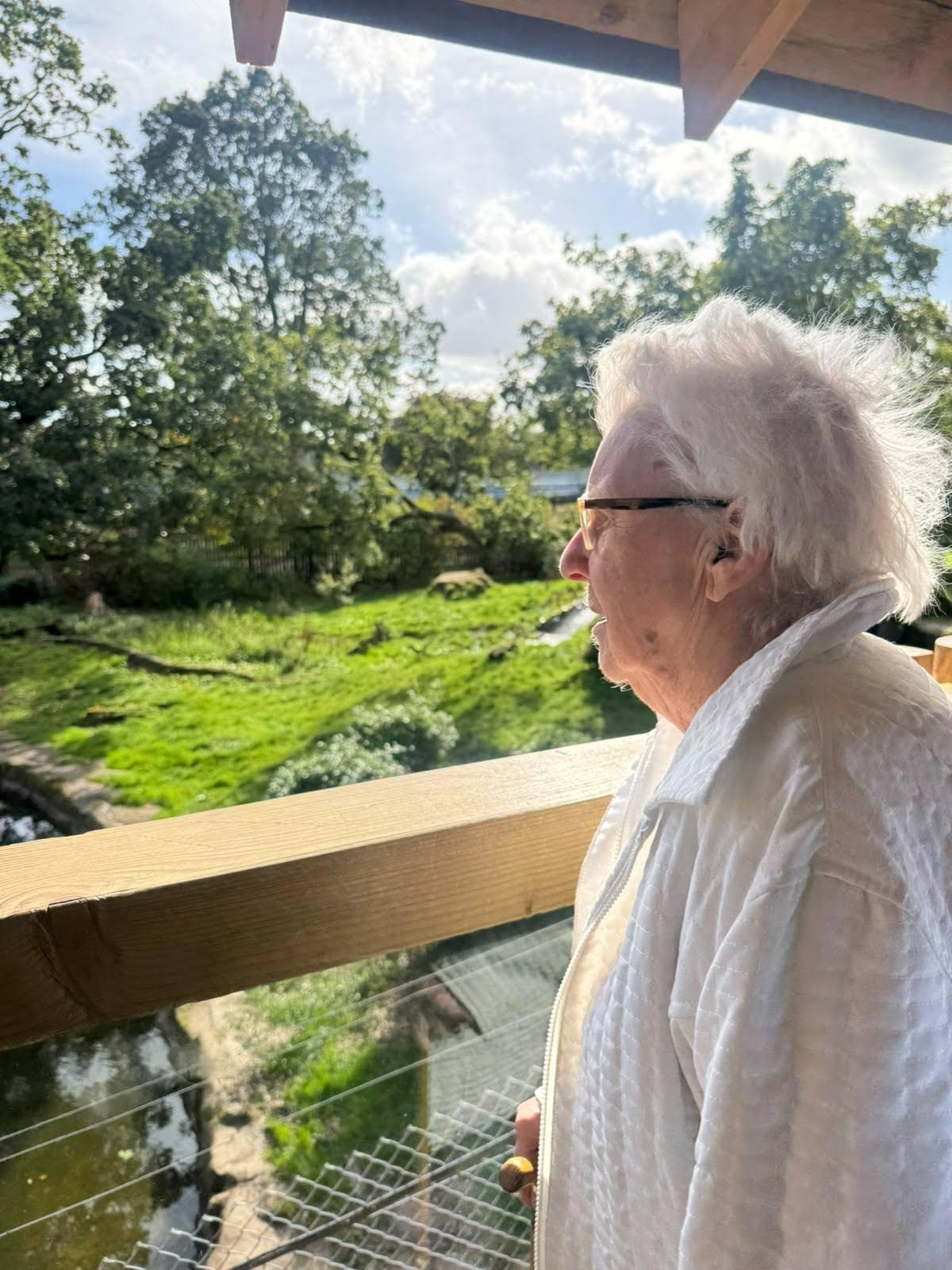 elderly woman looking at a zoo safari exhibit